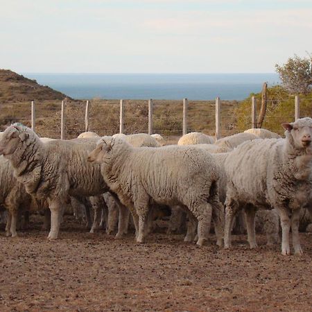 La Antonieta Estancia De Mar Dos Pozos ภายนอก รูปภาพ