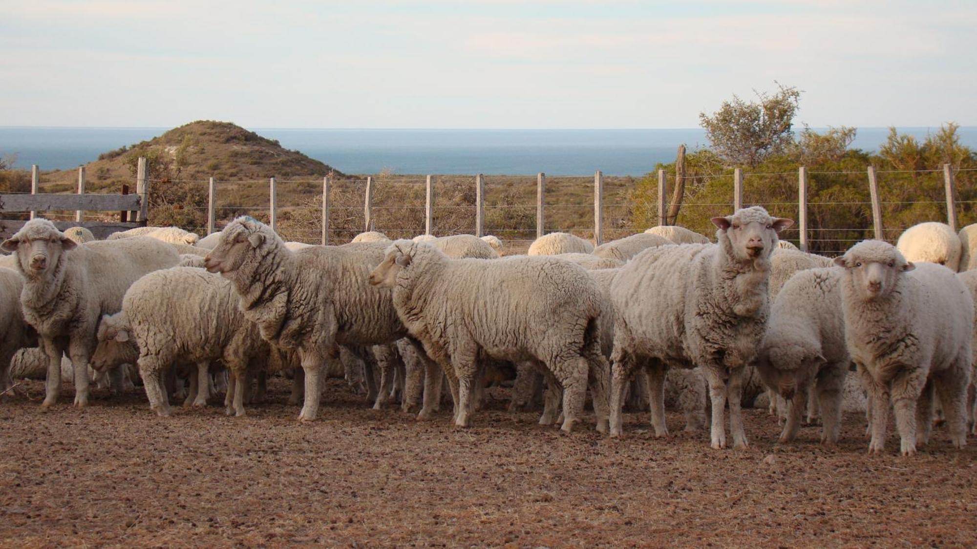La Antonieta Estancia De Mar Dos Pozos ภายนอก รูปภาพ