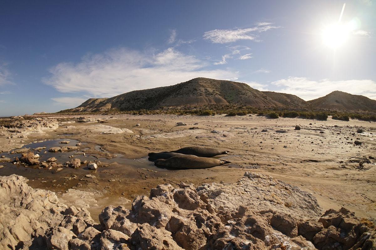 La Antonieta Estancia De Mar Dos Pozos ภายนอก รูปภาพ