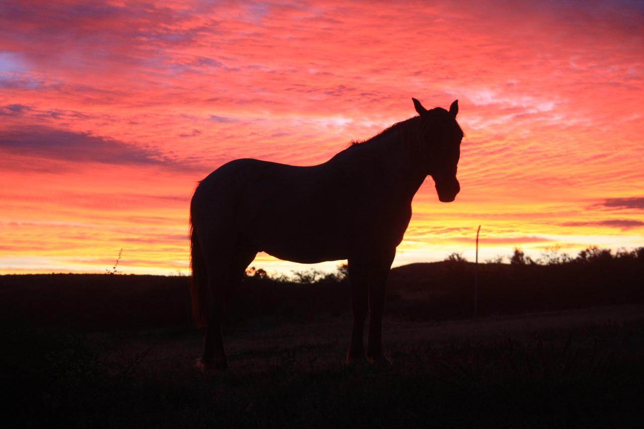 La Antonieta Estancia De Mar Dos Pozos ภายนอก รูปภาพ