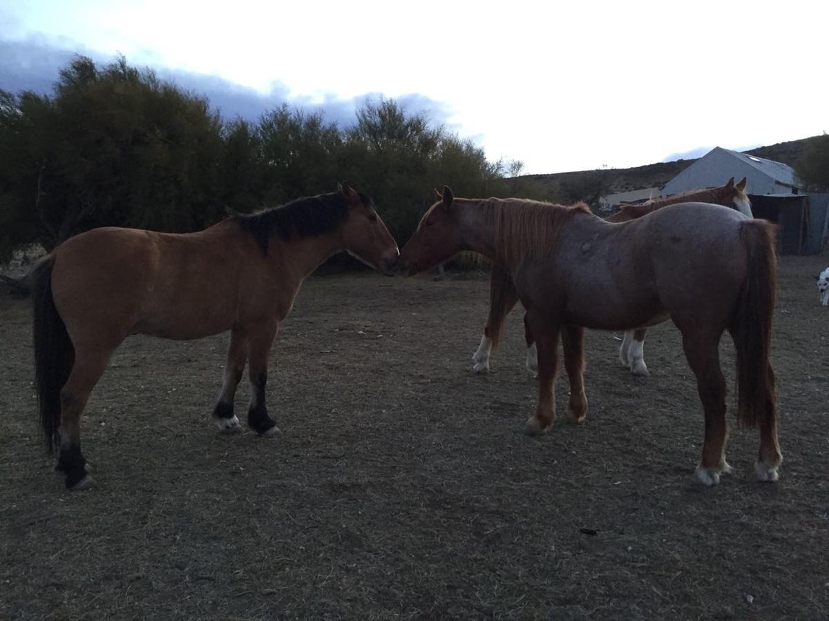 La Antonieta Estancia De Mar Dos Pozos ภายนอก รูปภาพ