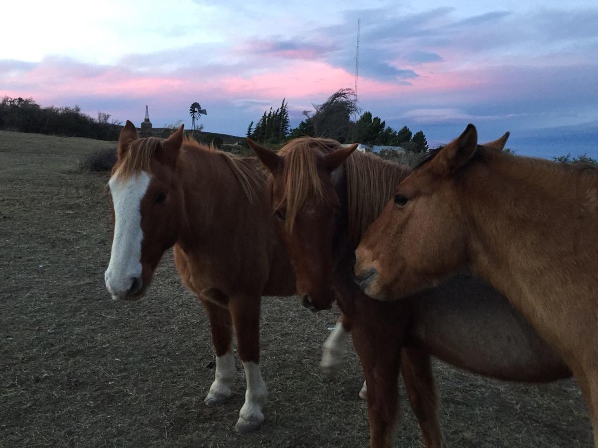 La Antonieta Estancia De Mar Dos Pozos ภายนอก รูปภาพ