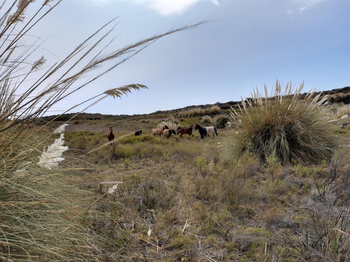 La Antonieta Estancia De Mar Dos Pozos ภายนอก รูปภาพ